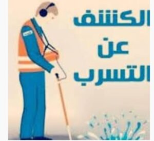 جهاز كشف الخرير العدان
